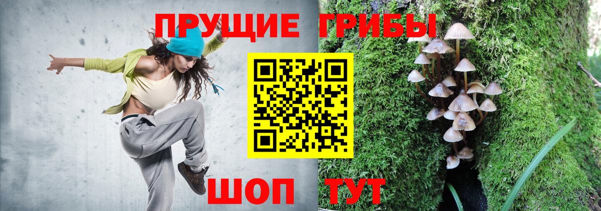 Алапаевск  Галлюциногенные грибы Magic Shrooms  Вход с VPN  Галлюциногенные грибы Psilocybe 