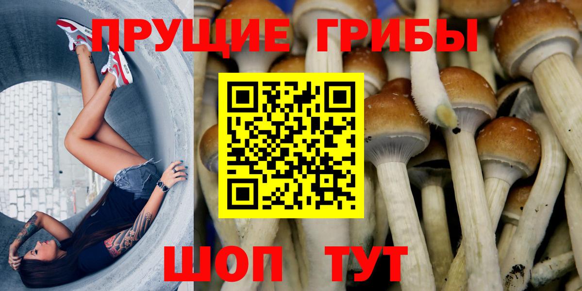 Галлюциногенные грибы прущие грибы Алапаевск